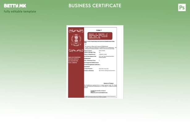 Модерен стил Индиски Пенџаб сертификат за регистрација Шаблон Word и PDF, шаблон